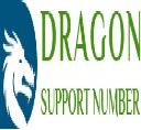 Nuance Dragon Support logo